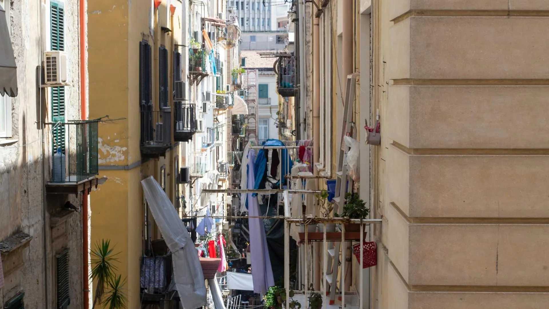 Hotel Il Vicoletto A Toledo Napoli Affittacamere